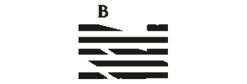 Blainey North, a Rebel Logistics client